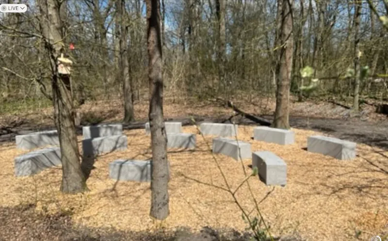 Grünes Klassenzimmer / Förderverein HG gruenes-klassenzimmer-in-der-natur2-foerderverein-humboldt-gymnasium-gifhorn