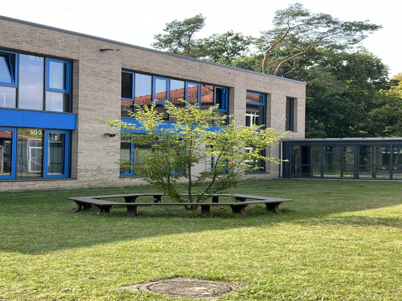 Rundsitzbank SüdOst-Flügel / Förderverein HG rundsitzbank-an-baum-auf-schulhof-suedostfluegel-foerderverein-humboldt-gymnasium-gifhorn